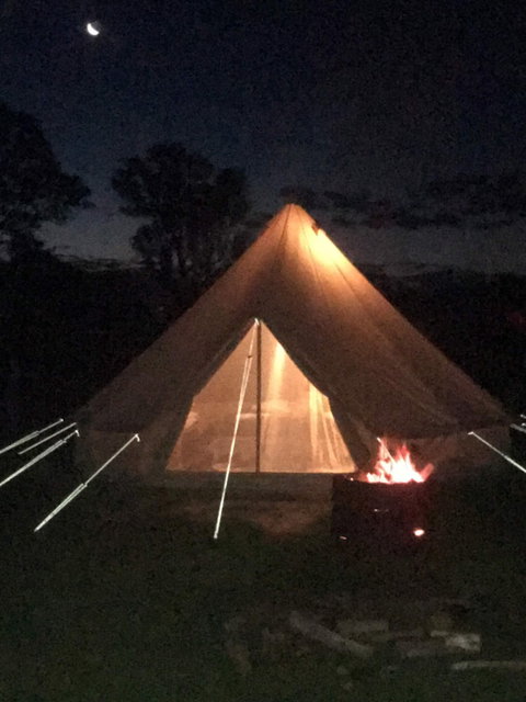 Coonawarra Bush Holiday Park - Palm Beach Accommodation 1