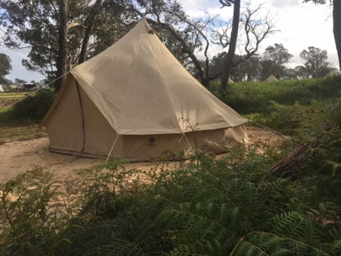 Coonawarra Bush Holiday Park - Palm Beach Accommodation 6