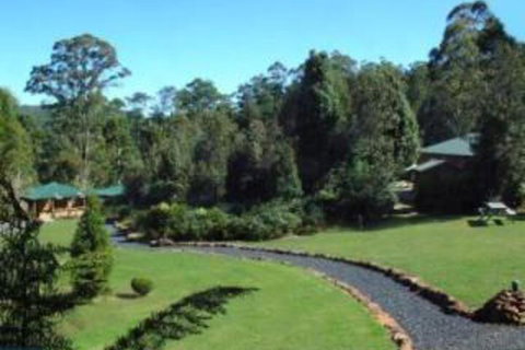 Cradle Chalet - Palm Beach Accommodation 0