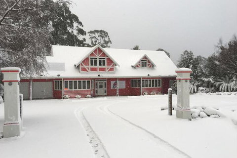 Cradle Chalet - Palm Beach Accommodation 6