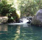 Daintree Secrets Rainforest Sanctuary - Palm Beach Accommodation