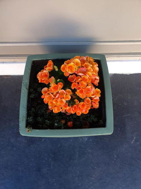 Parkside Motel Morwell - Palm Beach Accommodation 6