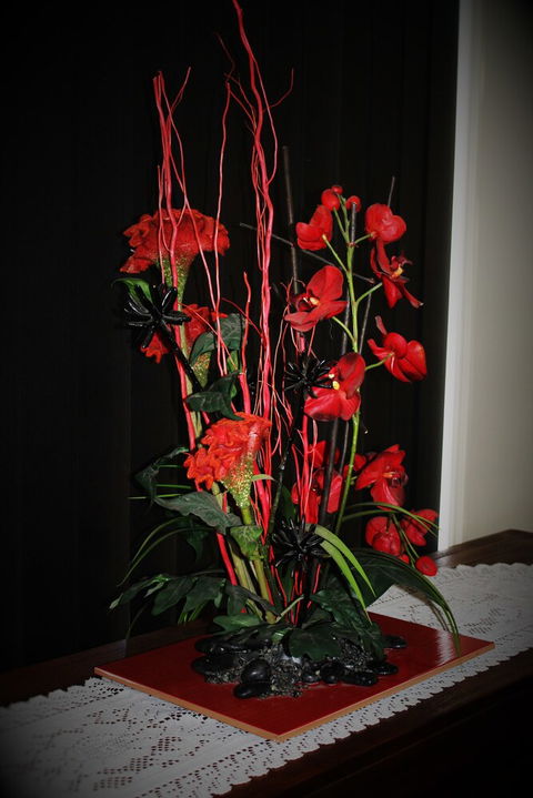 Dalby Apartments Self Contained Motel - Palm Beach Accommodation 1