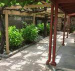 bluebird cottage - Palm Beach Accommodation