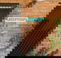 Clermont Country Motor Inn - Palm Beach Accommodation