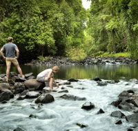 Sharlynn by the River - Palm Beach Accommodation