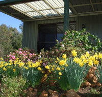 Nannup Riverview Cottage - Palm Beach Accommodation