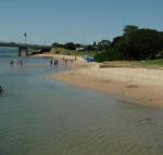 Black Dolphin Waterfront Townhouse Bay Views - Palm Beach Accommodation