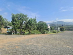 Book Murrurundi Accommodation Vacations Palm Beach Accommodation Palm Beach Accommodation