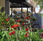 Girraween House - Palm Beach Accommodation