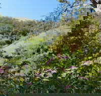 Copeland Manse - Palm Beach Accommodation