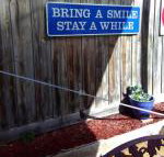 Beach Haven Caravan Park - Palm Beach Accommodation