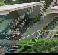 BIG4 Aussie Outback Oasis Holiday Park - Palm Beach Accommodation