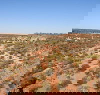 Ooraminna Station Homestead - Palm Beach Accommodation