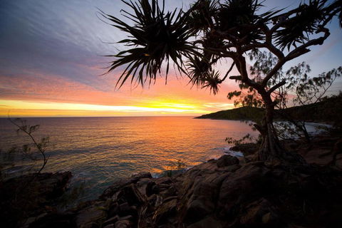 Akoakoa Sunrise Beach - Palm Beach Accommodation 6