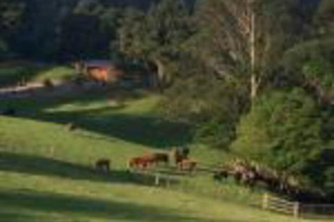 Amaroo Valley Springs - Palm Beach Accommodation 0