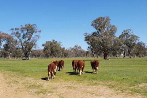 Jindera Park - Palm Beach Accommodation 0