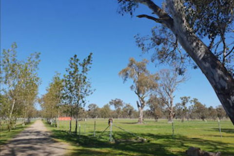 Jindera Park - Palm Beach Accommodation 1