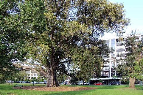 Adelaide Central Apartment - 3BR, 2Bath & Carpark - Palm Beach Accommodation 1