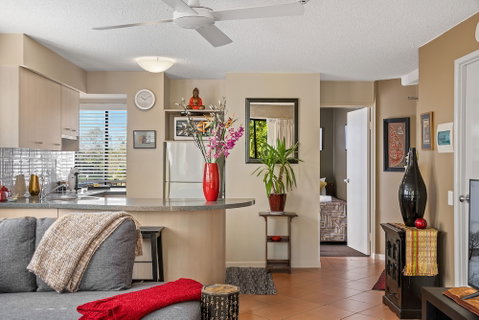 Asiatic Suite At Nautilus Mooloolaba - Palm Beach Accommodation 5