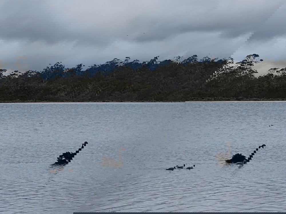 Palm Beach Accommodation