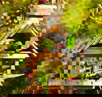 Crystal Brook Tourist Park - Palm Beach Accommodation