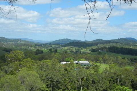 Amamoor Lodge - Palm Beach Accommodation 2