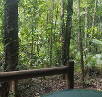 Daintree Crocodylus - Palm Beach Accommodation