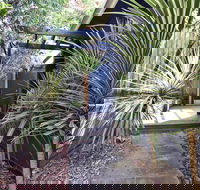 Lornebeach Apartments - Palm Beach Accommodation