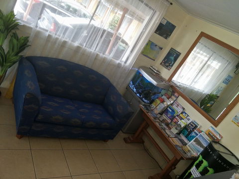 Arkana Motel - Palm Beach Accommodation 3