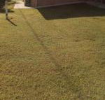 GOLDEN LACE B  B - Palm Beach Accommodation