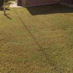 GOLDEN LACE B & B - Palm Beach Accommodation 0