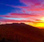 One Tree Hill - Palm Beach Accommodation