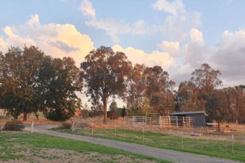 Hoof & Hound Country Escape - Palm Beach Accommodation 3