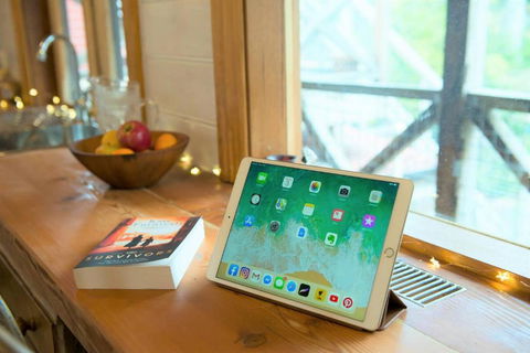 Adelaide Hills Camellia Cottage WiFi - Palm Beach Accommodation 4