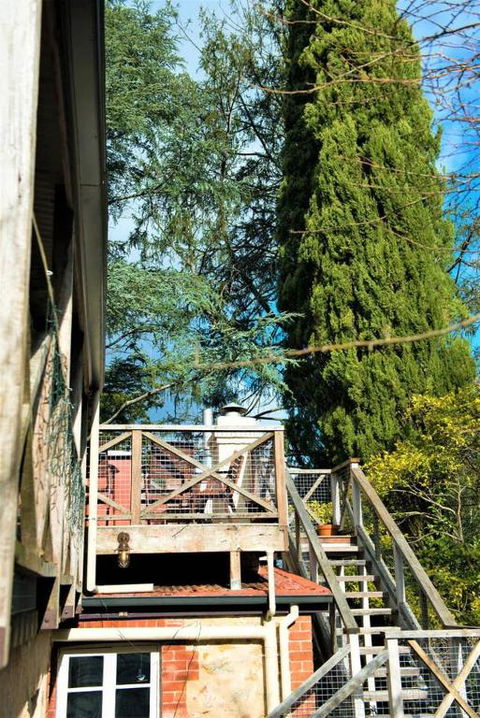 Adelaide Hills Camellia Cottage WiFi - Palm Beach Accommodation 2