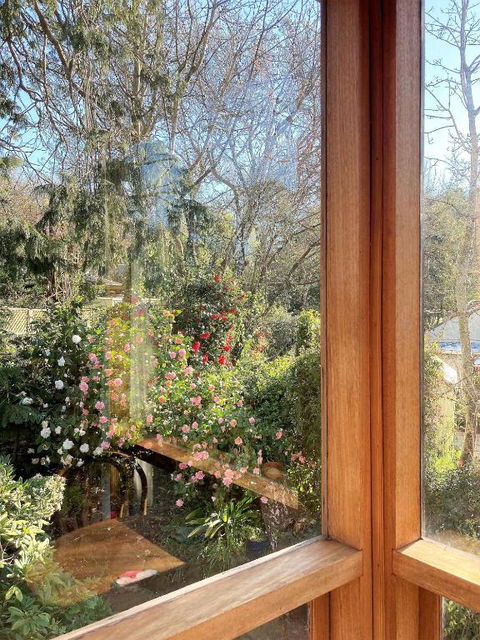Adelaide Hills Camellia Cottage WiFi - Palm Beach Accommodation 6