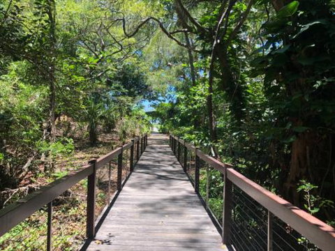 CANOPY HOUSE At PALM COVE - Palm Beach Accommodation 3