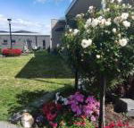 Velika - Palm Beach Accommodation