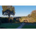 Ripplebrook Cottage - Palm Beach Accommodation