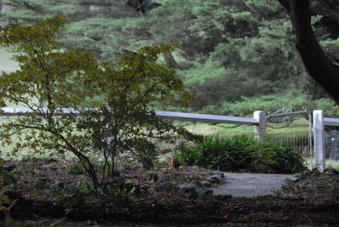 Toolebewang Farm Cottage - Palm Beach Accommodation 4