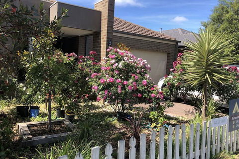 Apple House - Palm Beach Accommodation 2