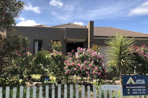 Apple House - Palm Beach Accommodation 0