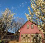 Magenta Cottage