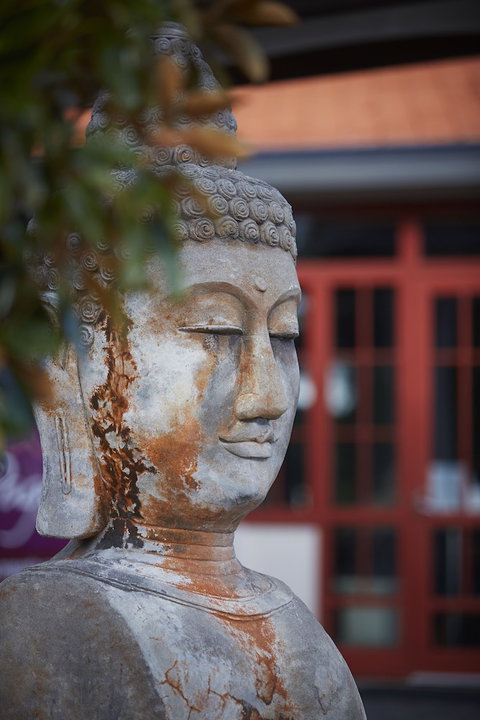 Pagoda Resort & Spa - Palm Beach Accommodation 0