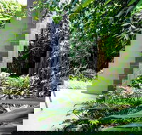 Laguna Apartments - Palm Beach Accommodation