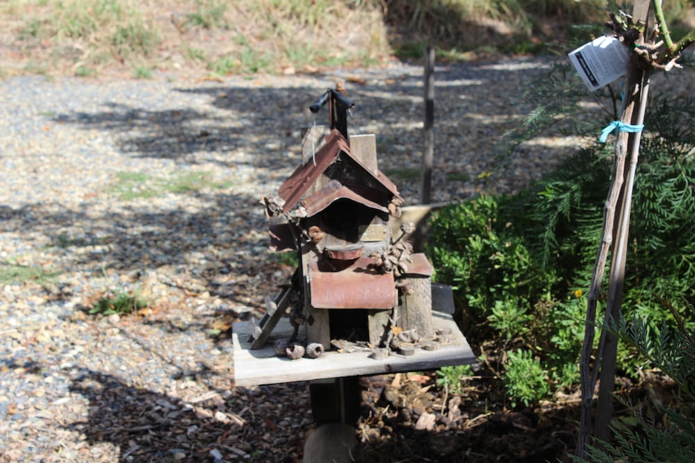 Palm Beach Accommodation