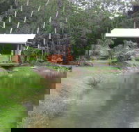 Rainforest Ranch - Palm Beach Accommodation