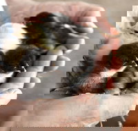 Margaret River Hideaway - Palm Beach Accommodation