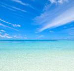 Hawks Nest Motel - Palm Beach Accommodation